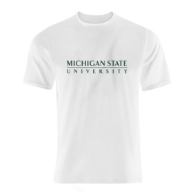Michigan Tshirt