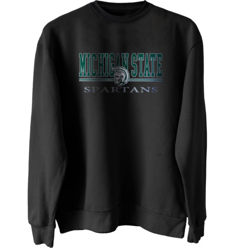 Michigan State Spartans Basic