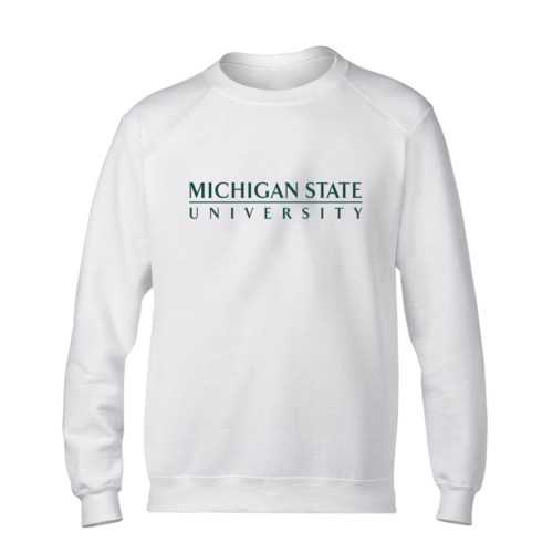 Michigan Basic