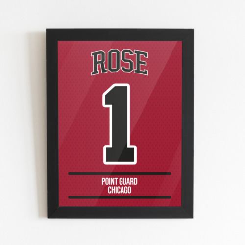 Derrick Rose Tablo Poster