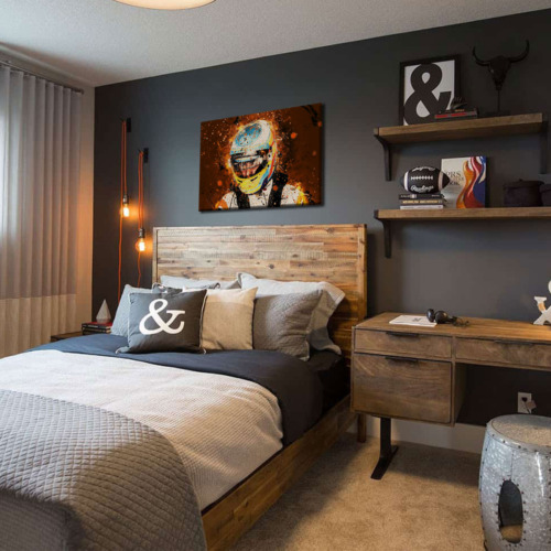 Fernando Alonso Canvas Tablo Fernando Alonso Canvas Tablo