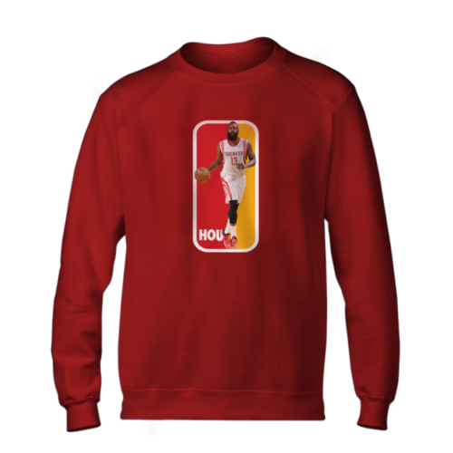 James Harden Dribbling Basic