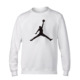 Air Jordan Basic