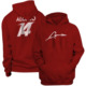 Fernando Alonso Basic