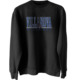 Villanova Wildcats Basic